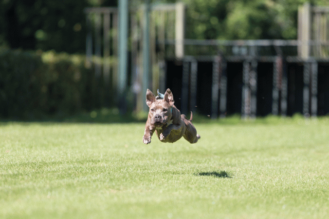 Cs3Q4921 20308156398 O