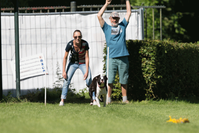 Cs3Q4846 20308161550 O