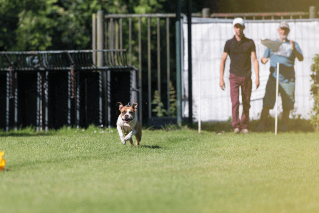 Cs3Q4905 20308165848 O