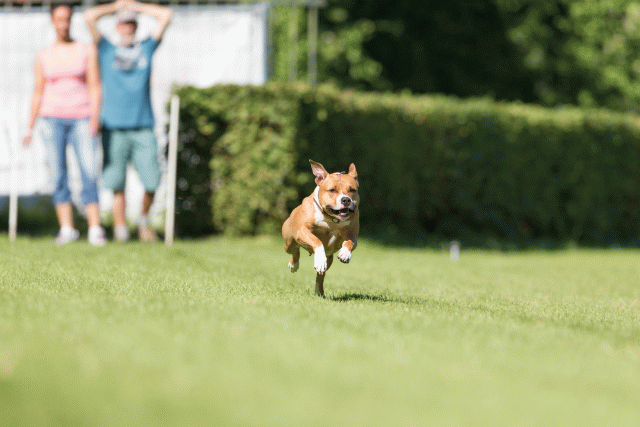 Cs3Q4822 20308167740 O