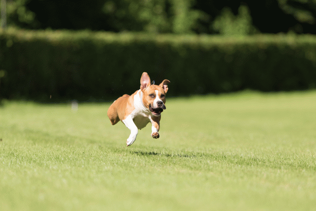 Cs3Q4887 20308174398 O