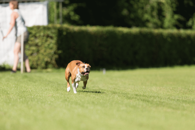 Cs3Q4881 20308180008 O