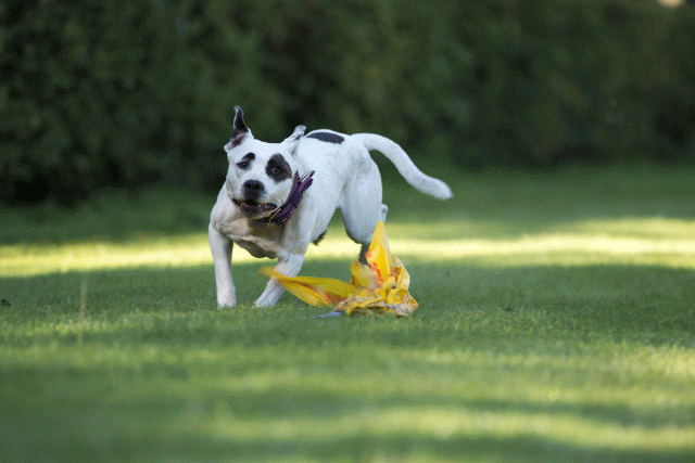 Cs3Q4760 20308183320 O