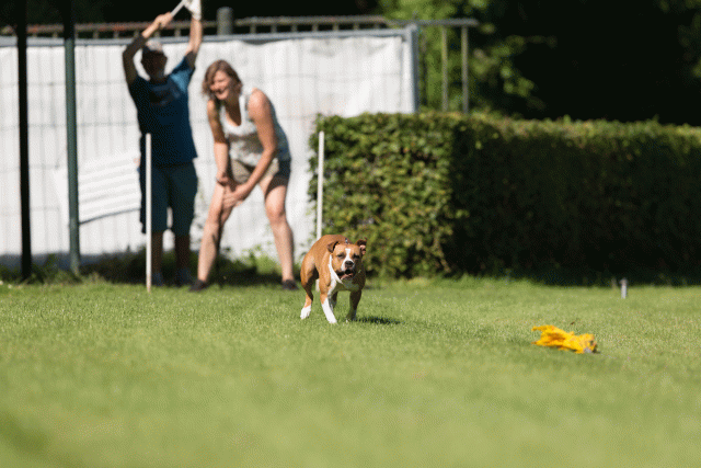 Cs3Q4874 20308186978 O