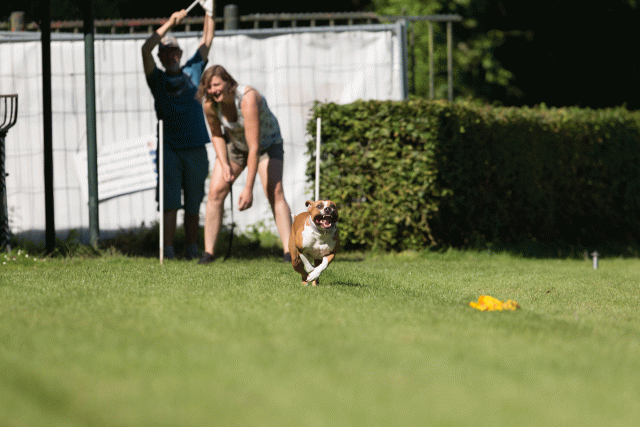 Cs3Q4872 20308189138 O