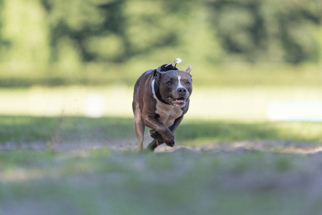 Cs3Q4585 20308197760 O