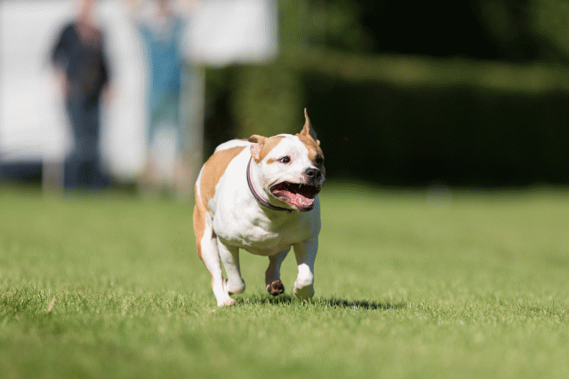 Cs3Q4815 20308213018 O