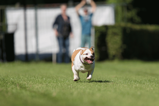 Cs3Q4812 20308216018 O