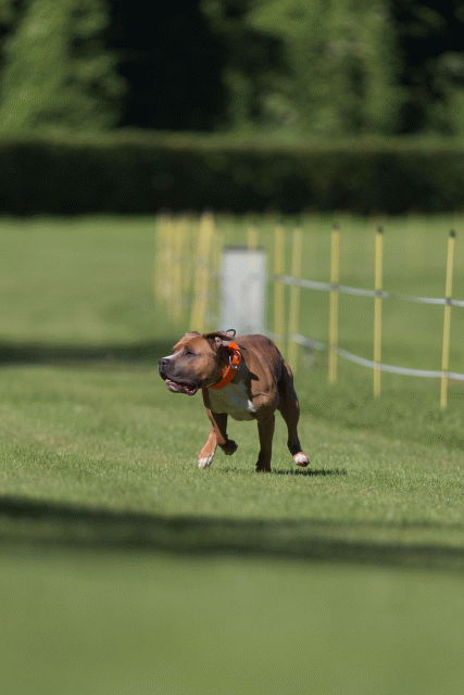 Cs3Q4599 20308235798 O