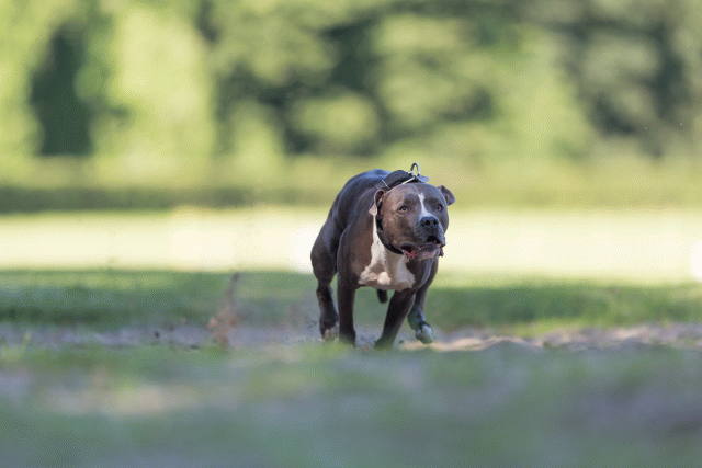 Cs3Q4584 20308239458 O