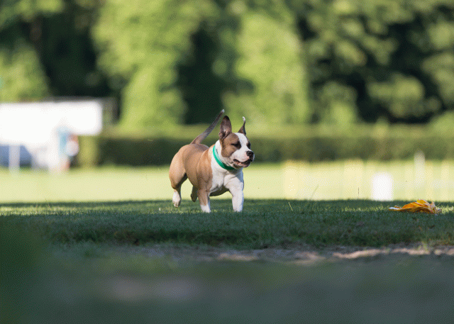 Cs3Q4493 20308269940 O