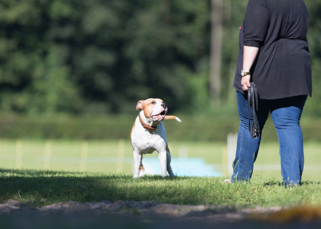 Cs3Q4540 20308275888 O