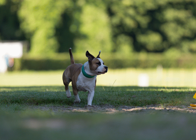 Cs3Q4495 20308307048 O