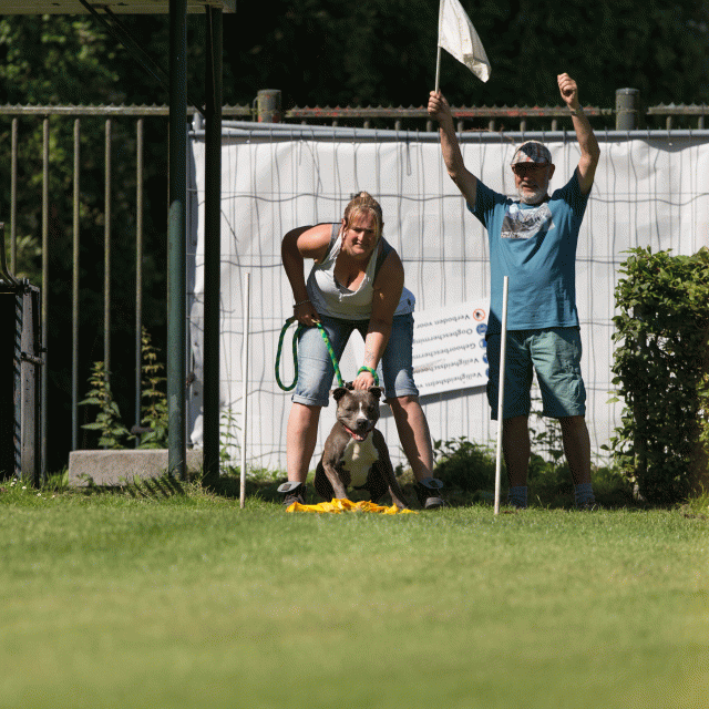 Cs3Q5015 20308806579 O