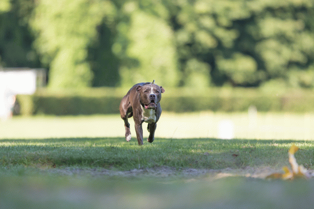 Cs3Q4576 20308811309 O