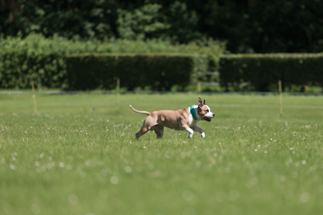 Cs3Q5221 20309351029 O