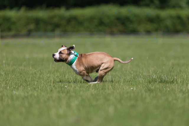 Cs3Q5201 20309368199 O