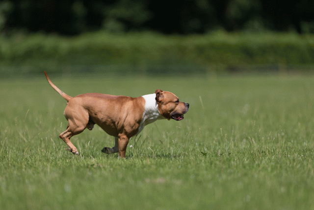 Cs3Q5183 20309384279 O