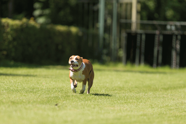 Cs3Q5114 20309424569 O