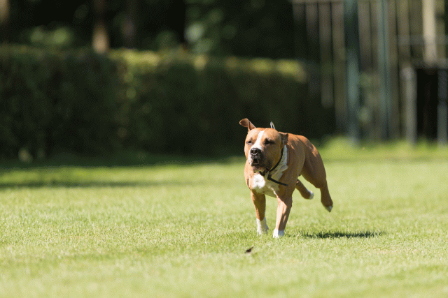 Cs3Q5103 20309431979 O