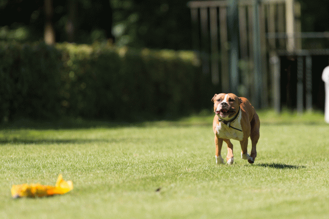 Cs3Q5100 20309435319 O