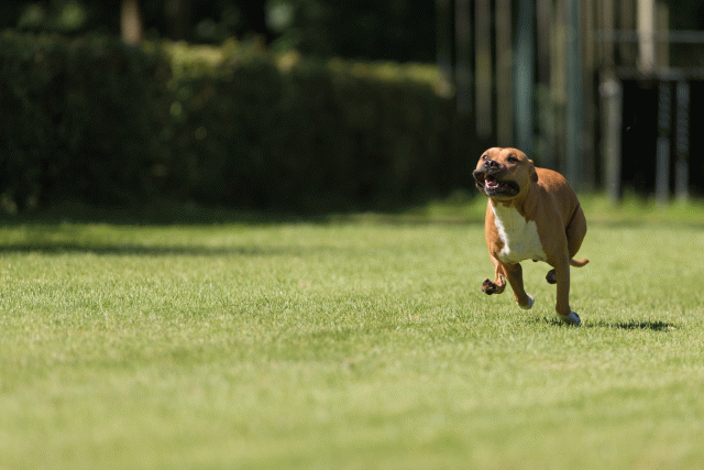 Cs3Q5095 20309436999 O