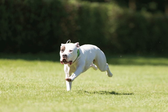 Cs3Q5081 20309448569 O