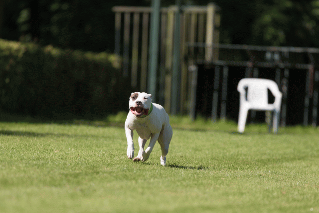 Cs3Q5072 20309456079 O