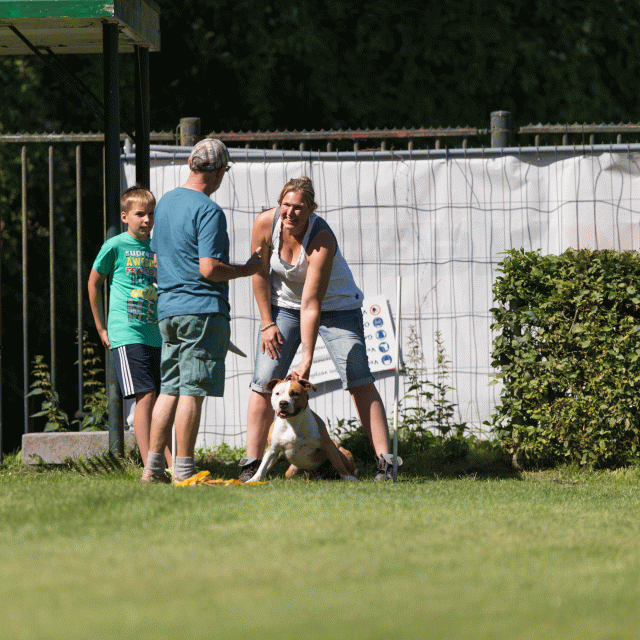 Cs3Q5049 20309466809 O