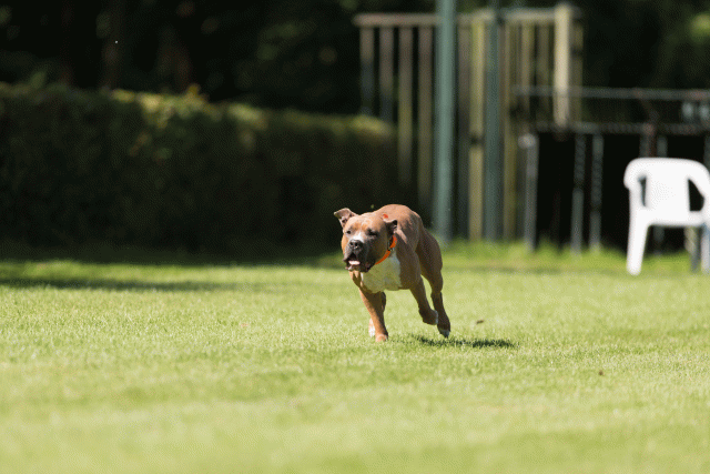 Cs3Q5037 20309475429 O