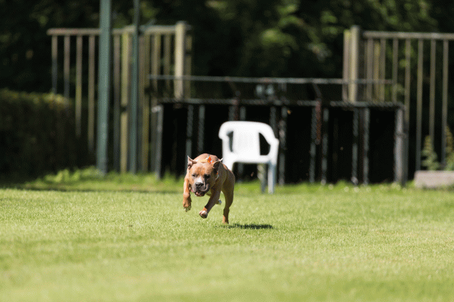 Cs3Q5032 20309481179 O