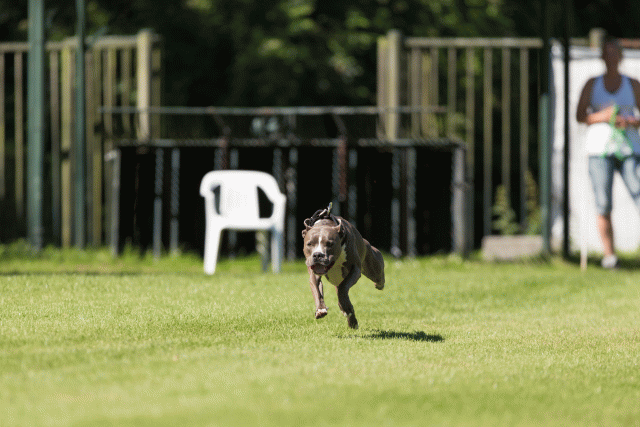 Cs3Q5021 20309491059 O