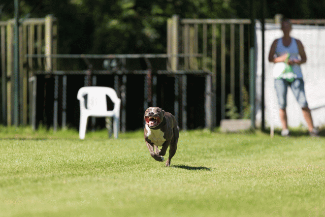 Cs3Q5020 20309492439 O