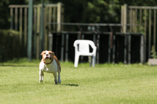 Cs3Q5011 20309498829 O