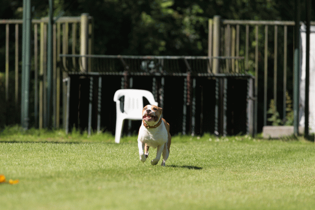 Cs3Q5010 20309499749 O