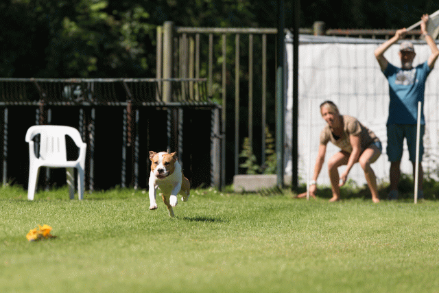 Cs3Q5004 20309506199 O