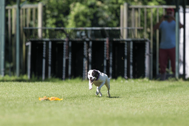 Cs3Q4970 20309518469 O