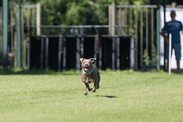 Cs3Q4916 20309526279 O