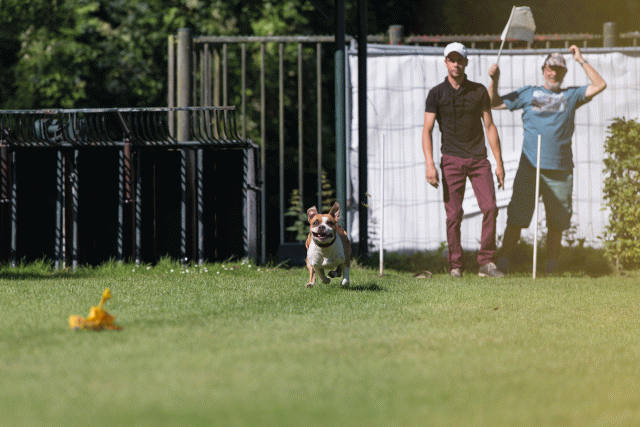 Cs3Q4901 20309538739 O