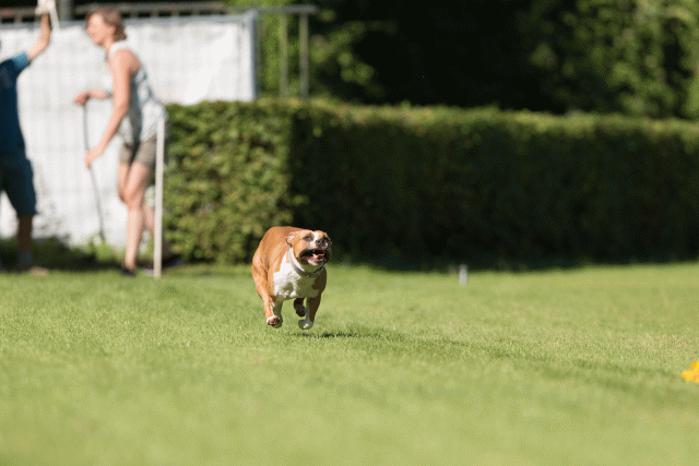 Cs3Q4878 20309553069 O