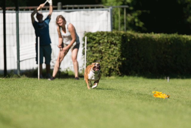 Cs3Q4875 20309556479 O