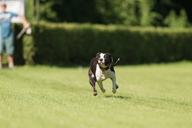 Cs3Q4868 20309561709 O