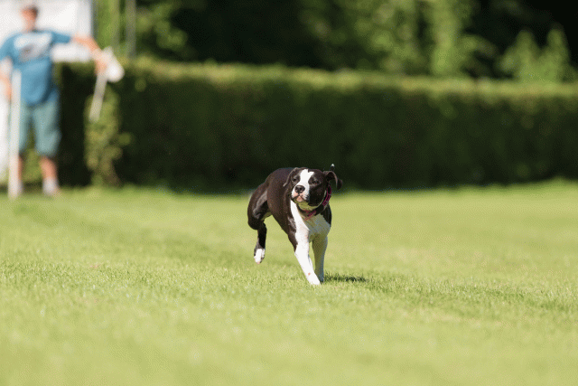 Cs3Q4867 20309562709 O