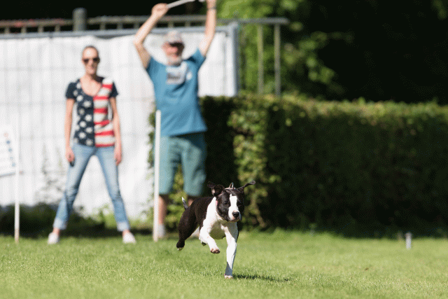 Cs3Q4854 20309569209 O