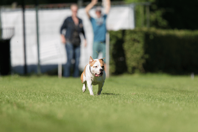 Cs3Q4808 20309588409 O