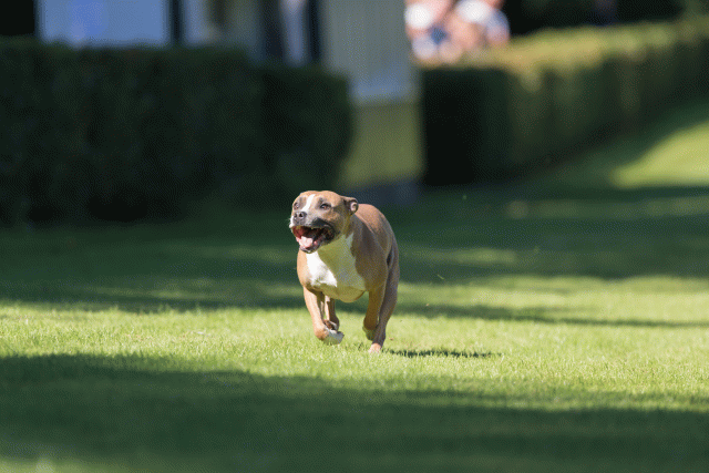 Cs3Q4782 20309591539 O