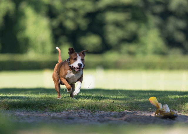 Cs3Q4684 20309601469 O