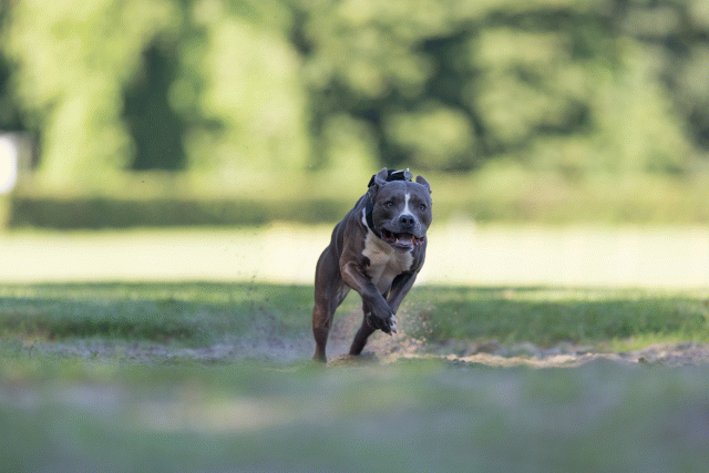 Cs3Q4582 20309611789 O