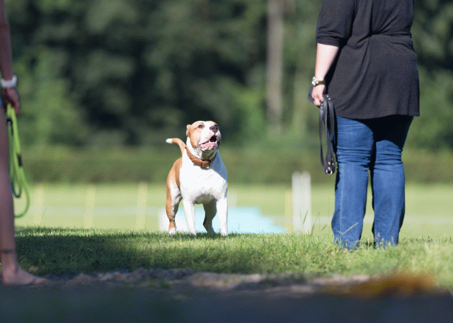 Cs3Q4538 20309648279 O