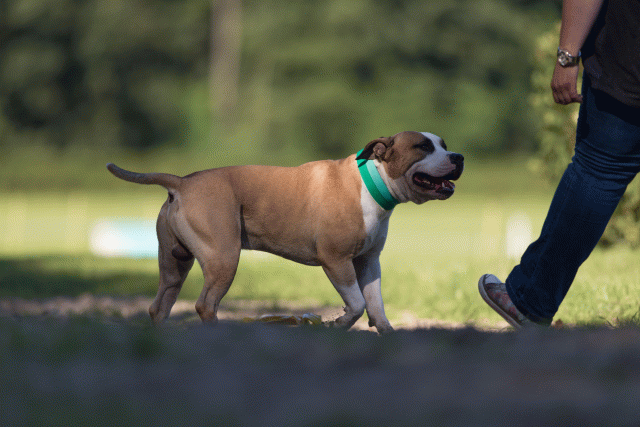 Cs3Q4501 20309668769 O